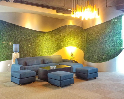 廈門冠贏網(wǎng)絡(luò)科技 引領(lǐng)網(wǎng)絡(luò)科技技術(shù)開發(fā)新潮流