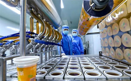 科技賦能小特產升級大產業(yè) 張掖臨澤的數(shù)字化轉型之路